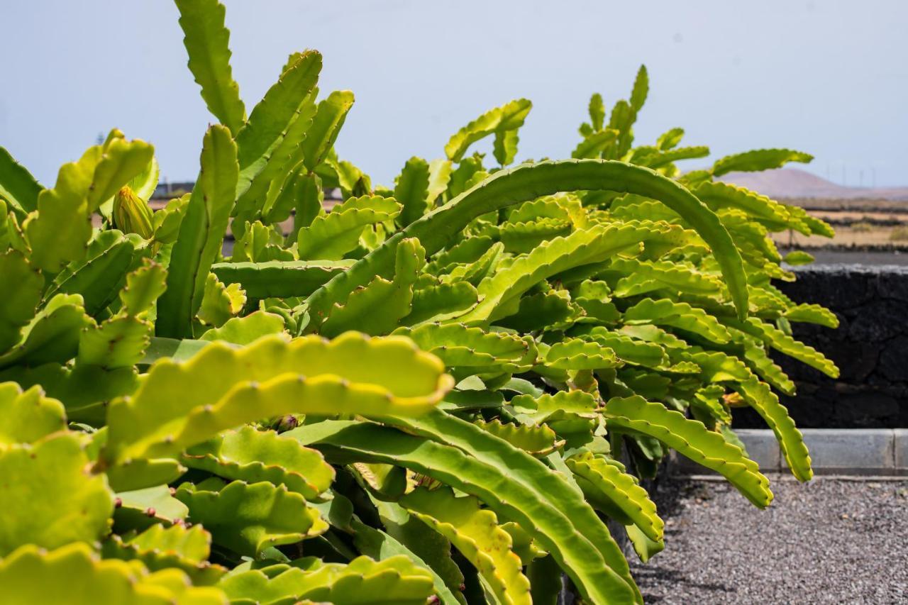 Eslanzarote Eco Dome Experience Hotel Teguise  Exterior photo