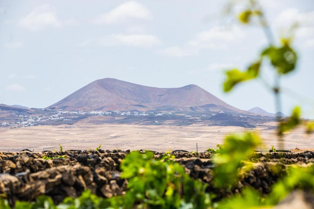 Eslanzarote Eco Dome Experience Hotel Teguise  Exterior photo