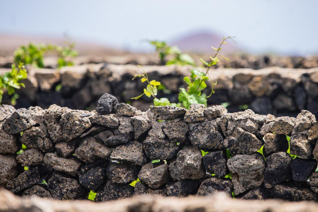 Eslanzarote Eco Dome Experience Hotel Teguise  Exterior photo