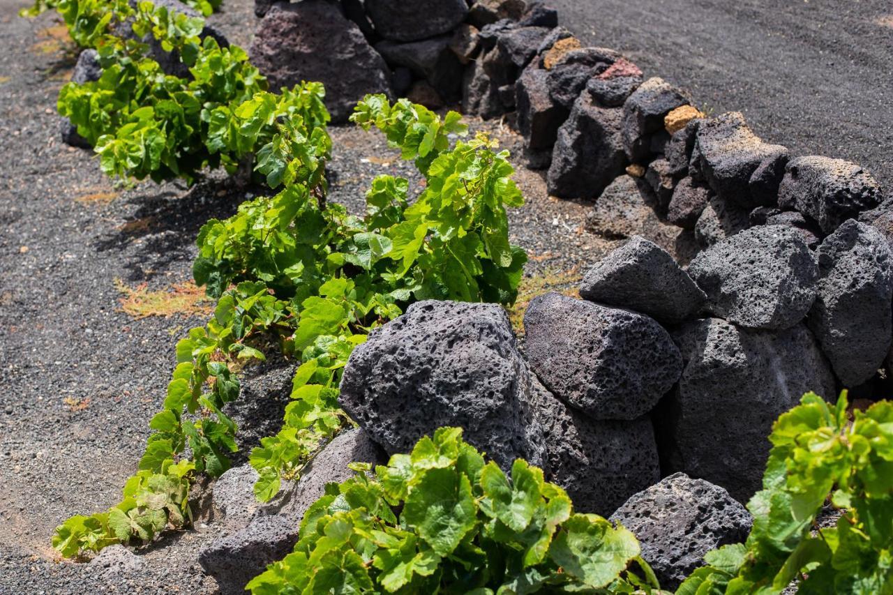 Eslanzarote Eco Dome Experience Hotel Teguise  Exterior photo